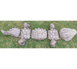 5 Piece Crocodile Ornament