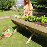 Vegetable Bed 2 Metre