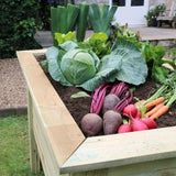 Deep Root Planter 1m