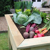 Deep Root Planter 1m