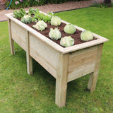 Deep Root Planter 1.8m