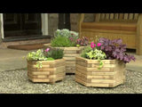 Marford Hexagonal Planter Set