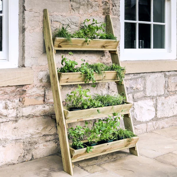 why you need a herb planter