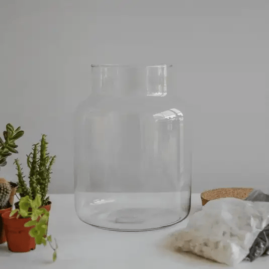 Bottle Shape Terrarium DIY Kit Large