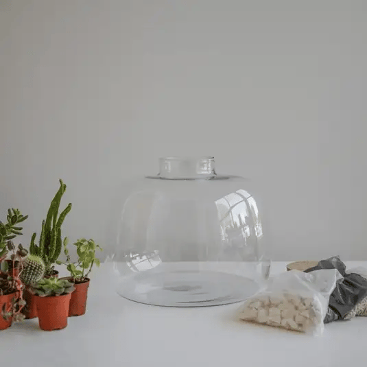 Bowl Shape Terrarium DIY Kit Large