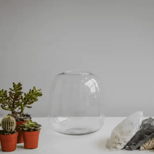 Bowl Shape Terrarium DIY Kit Medium
