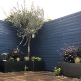 A landscaped outdoor courtyard corner with a tall blue-gray wooden fence, a central olive tree, black rectangular planter boxes with shrubs and grasses, and a wet stone patio in the foreground.
