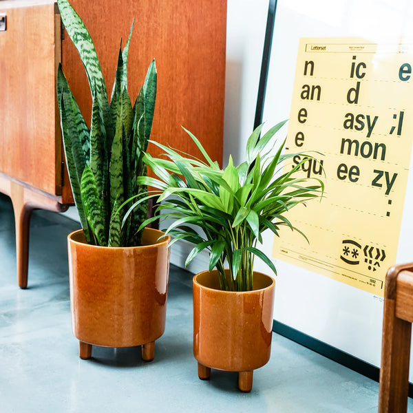 Pisa Mustard Planter